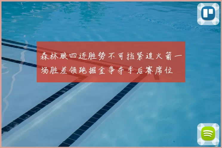 森林狼四连胜势不可挡紧追火箭一场胜差领跑掘金争夺季后赛席位