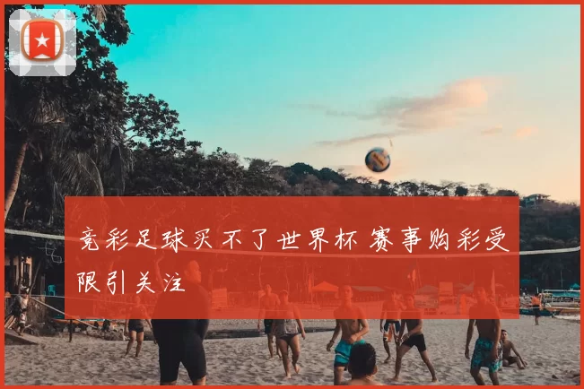 竞彩足球买不了世界杯 赛事购彩受限引关注
