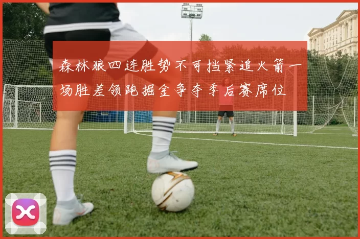 森林狼四连胜势不可挡紧追火箭一场胜差领跑掘金争夺季后赛席位