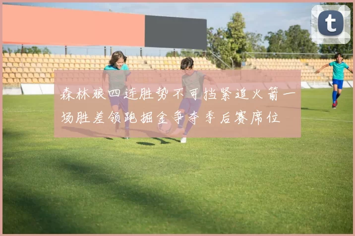 森林狼四连胜势不可挡紧追火箭一场胜差领跑掘金争夺季后赛席位