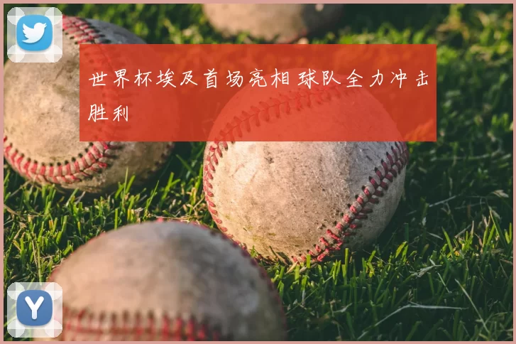 世界杯埃及首场亮相 球队全力冲击胜利