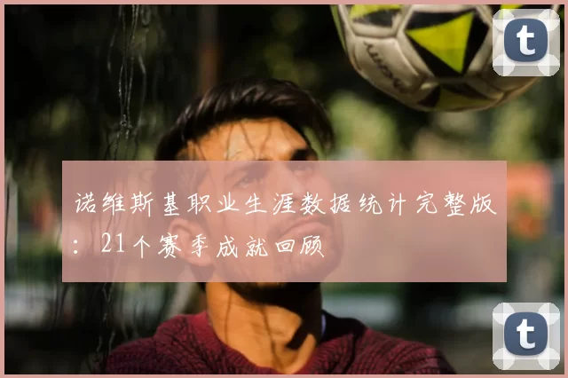 诺维斯基职业生涯数据统计完整版：21个赛季成就回顾