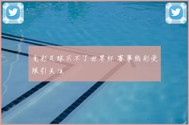 竞彩足球买不了世界杯 赛事购彩受限引关注