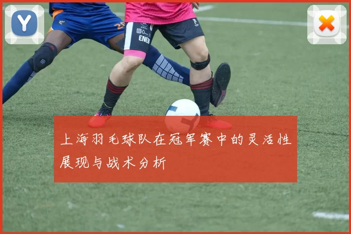 上海羽毛球队在冠军赛中的灵活性展现与战术分析