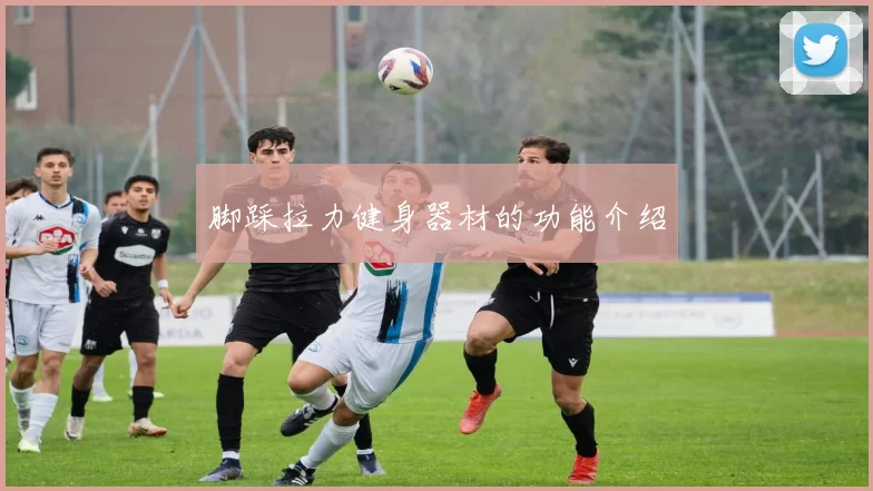脚踩拉力健身器材的功能介绍