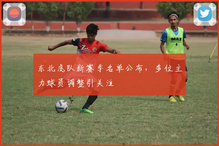东北虎队新赛季名单公布，多位主力球员调整引关注