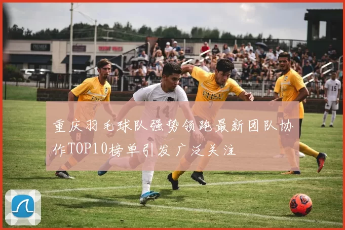 重庆羽毛球队强势领跑最新团队协作TOP10榜单引发广泛关注