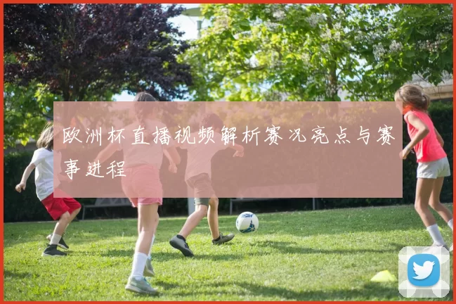 欧洲杯直播视频解析赛况亮点与赛事进程