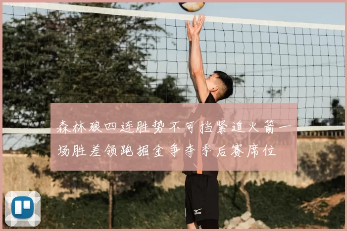 森林狼四连胜势不可挡紧追火箭一场胜差领跑掘金争夺季后赛席位