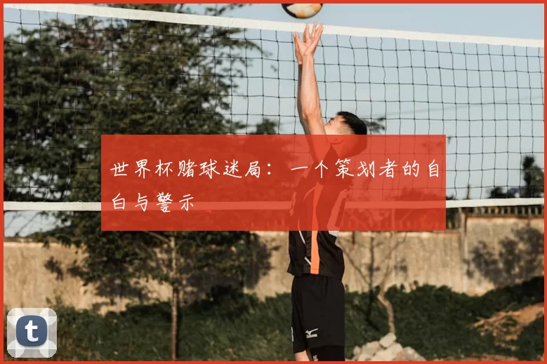 世界杯赌球迷局:一个策划者的自白与警示