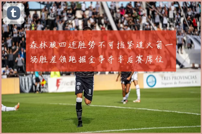 森林狼四连胜势不可挡紧追火箭一场胜差领跑掘金争夺季后赛席位