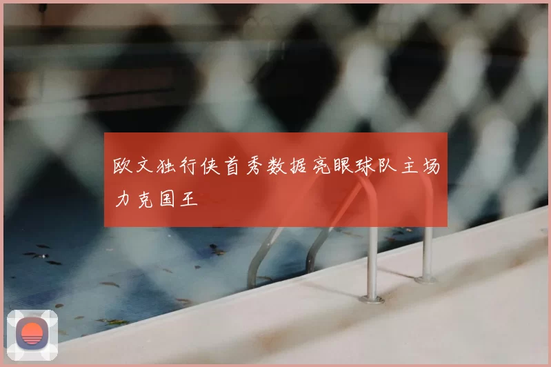 欧文独行侠首秀数据亮眼球队主场力克国王