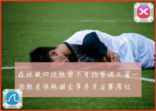 森林狼四连胜势不可挡紧追火箭一场胜差领跑掘金争夺季后赛席位