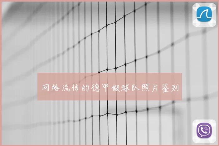 网络流传的德甲假球队照片鉴别