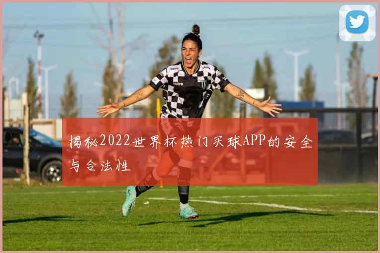 揭秘2022世界杯热门买球APP的安全与合法性