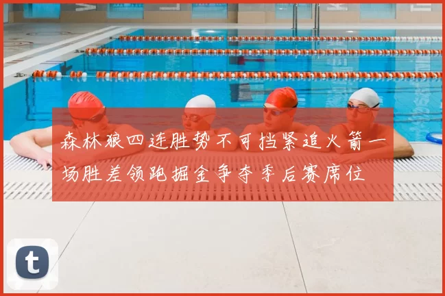 森林狼四连胜势不可挡紧追火箭一场胜差领跑掘金争夺季后赛席位